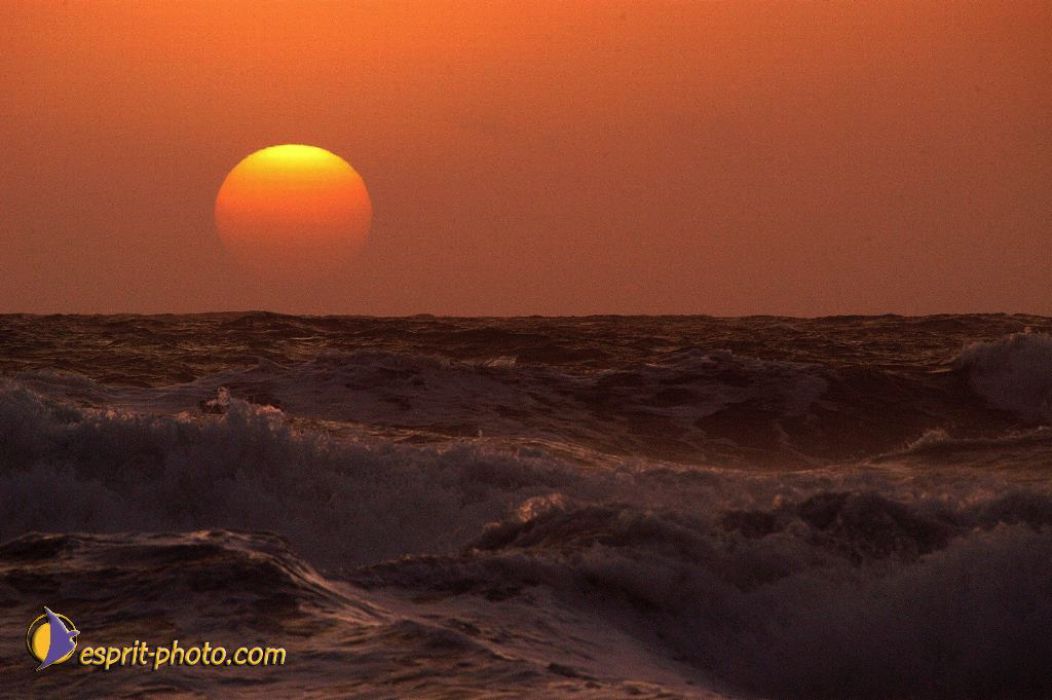 Nom de l'image : EP08-0383_(c)Norbert-JUNG — Description :